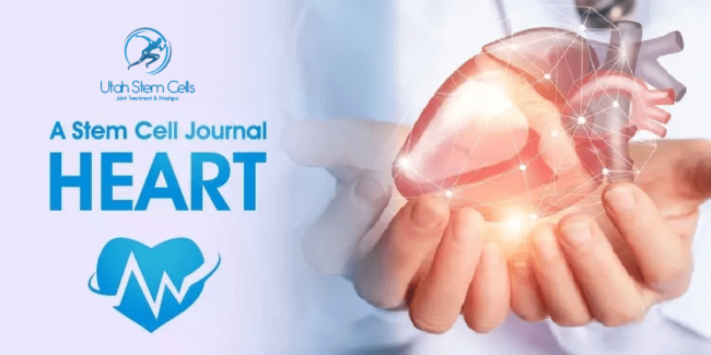 A Stem Cell Journal – HEART