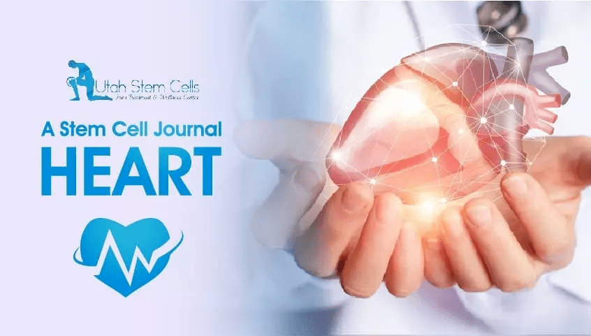 A Stem Cell Journal – HEART