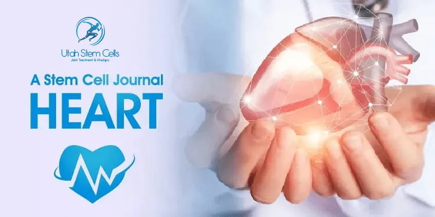 A Stem Cell Journal – HEART