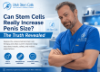 Can Stem Cells Really Increase Penis Size? The Truth Revealed